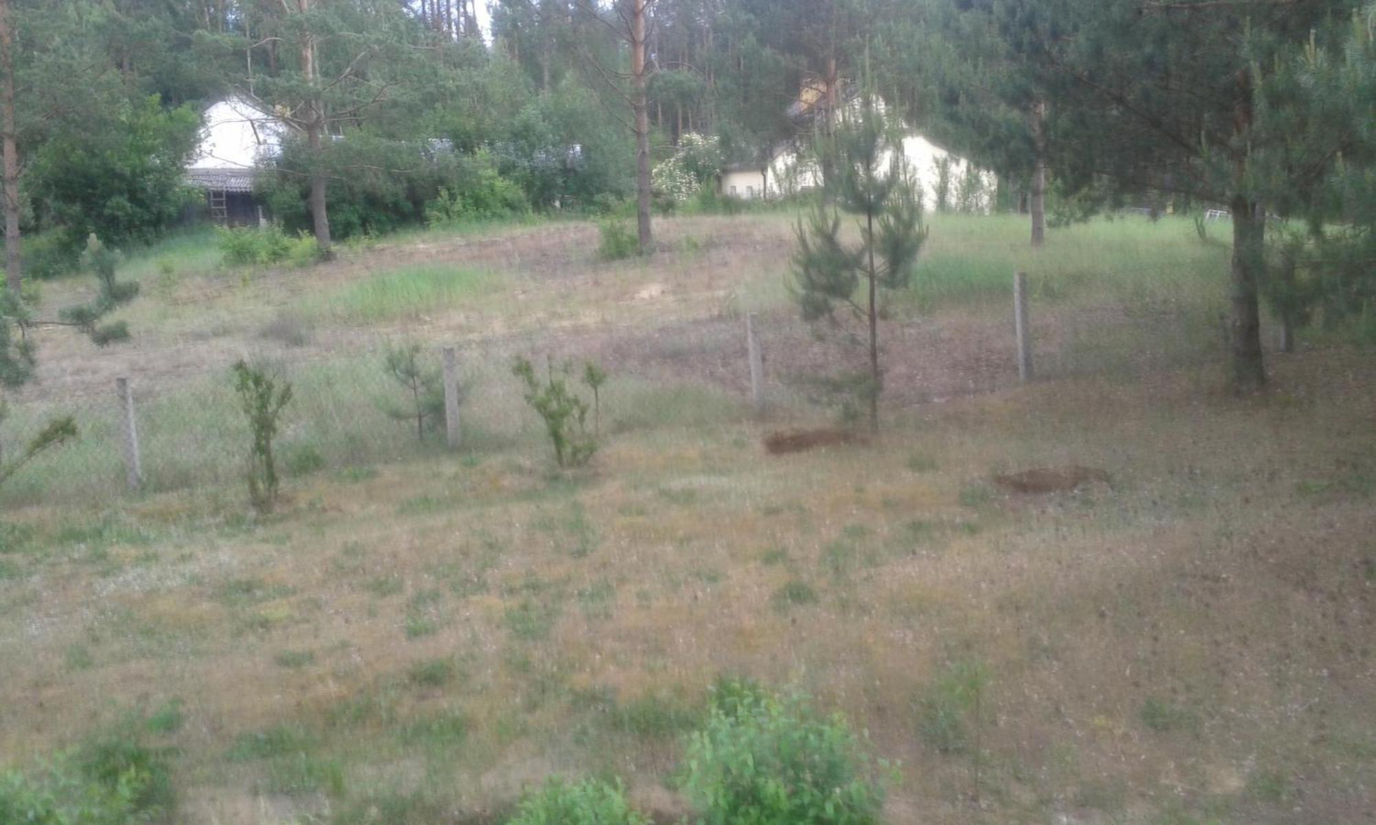 Domek Lesna Przystan Strekowizna Extérieur photo