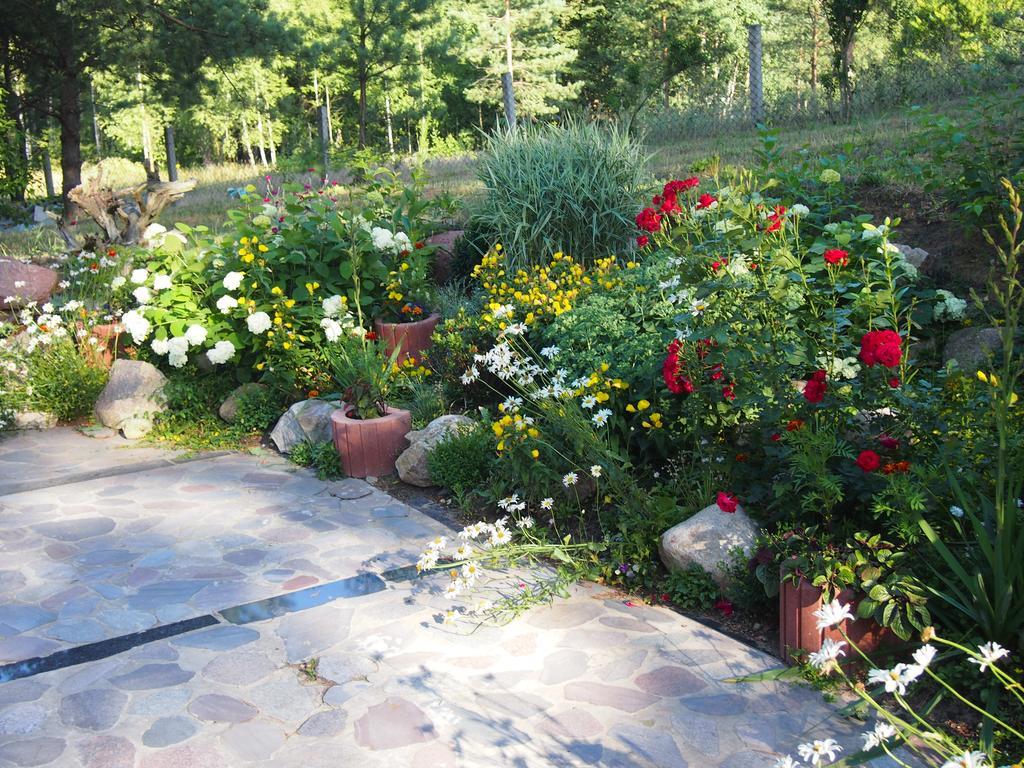 Domek Lesna Przystan Strekowizna Extérieur photo